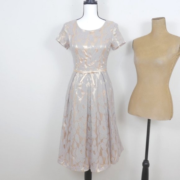 Mikarose Dresses & Skirts - MIKAROSE Champagne Gold Taupe Gray Floral Lace Pleated Skirt Vintage Party Dress